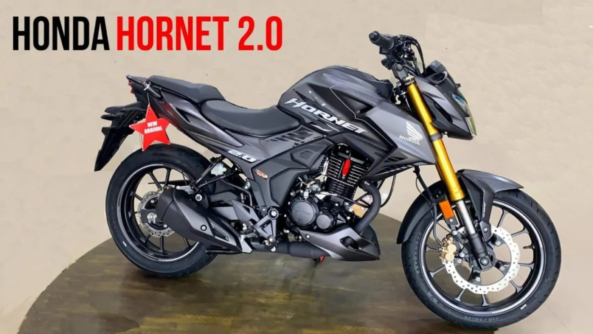 Honda Hornet